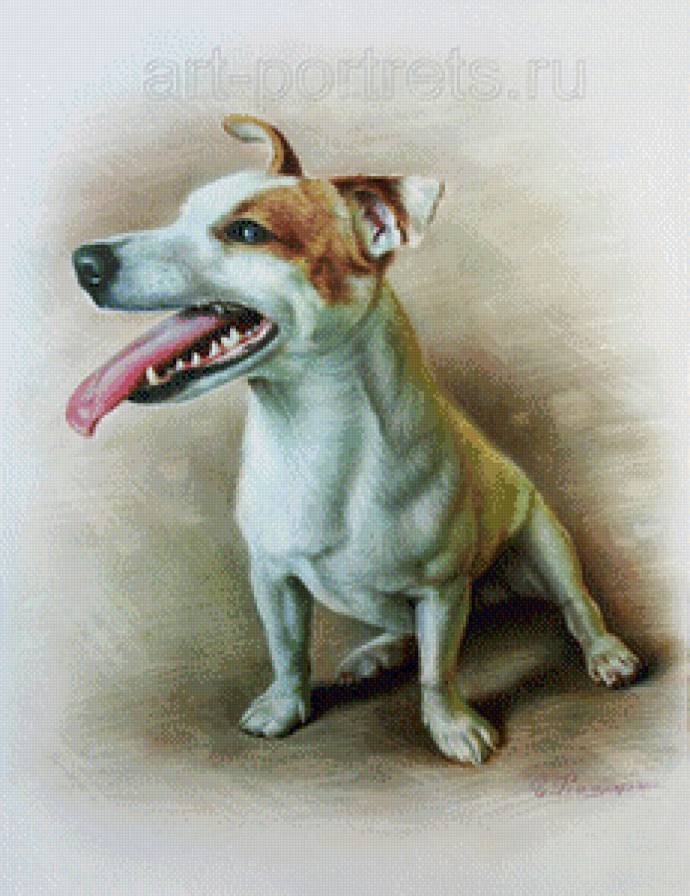 Песик - животные, собаки - предпросмотр