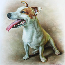 Схема вышивки «Песик»