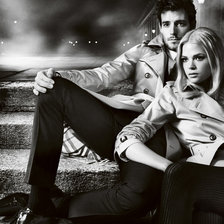 Схема вышивки «Пара»