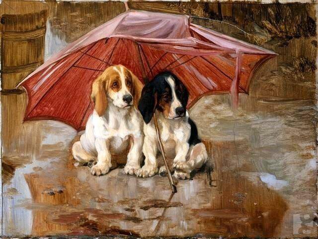 двое под зонтом - собака, дождь, зонт - оригинал