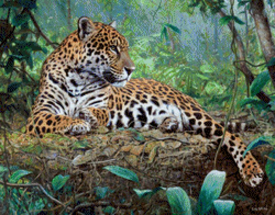 №599588 - цветы - предпросмотр