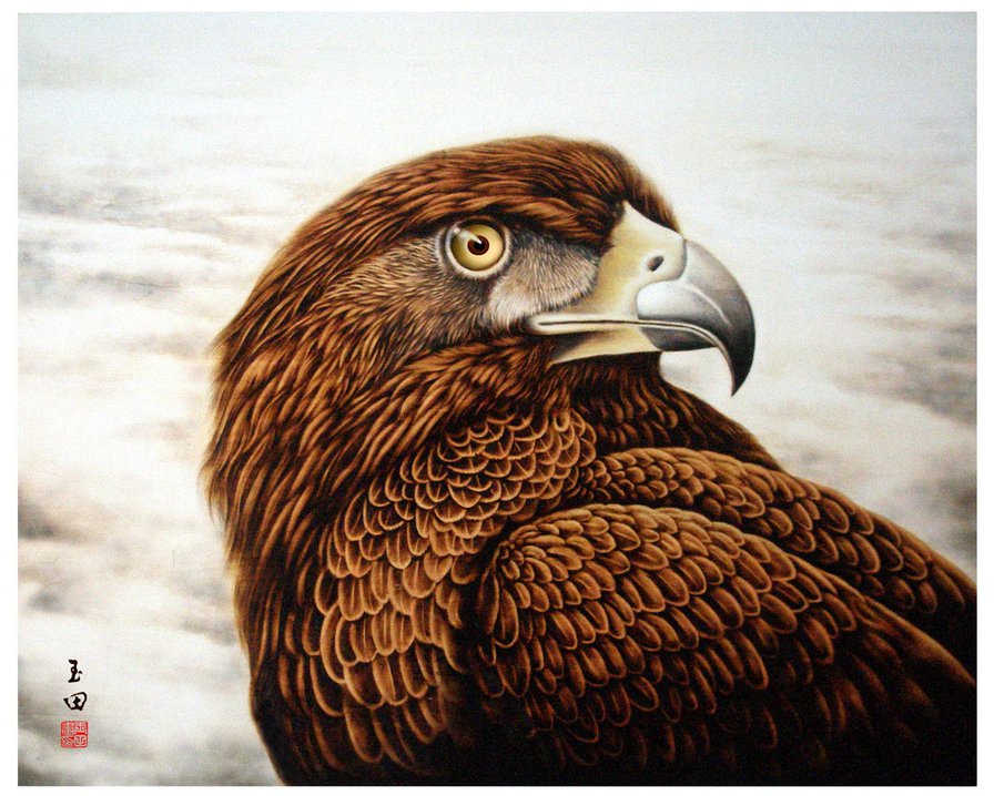 Гордая птица - орел, птицы - оригинал