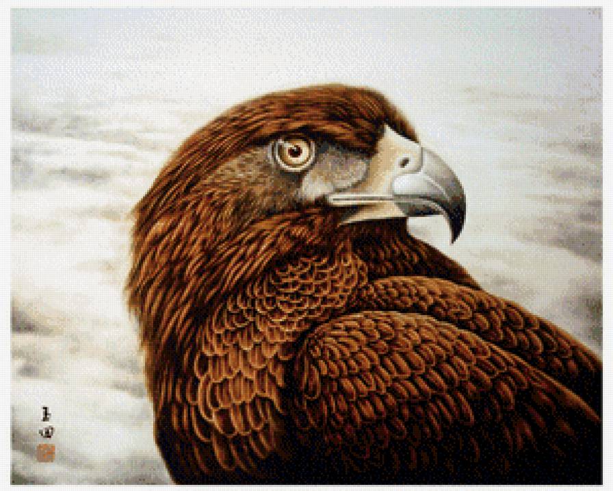 Гордая птица - птицы, орел - предпросмотр
