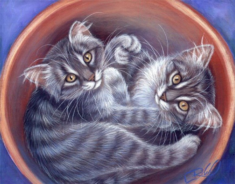 Удобное местечко - животные, коты - оригинал