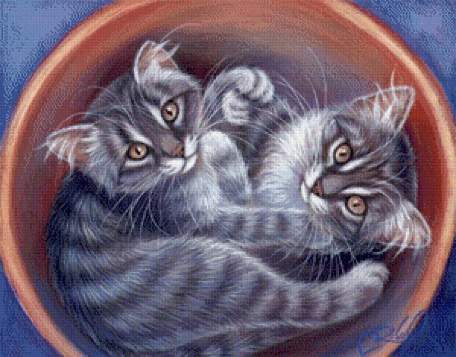 Удобное местечко - коты, животные - предпросмотр