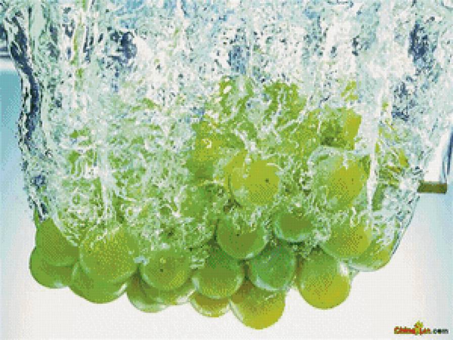 виноград - предпросмотр