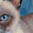 Предпросмотр схемы вышивки «голубоглазые» (№599781)