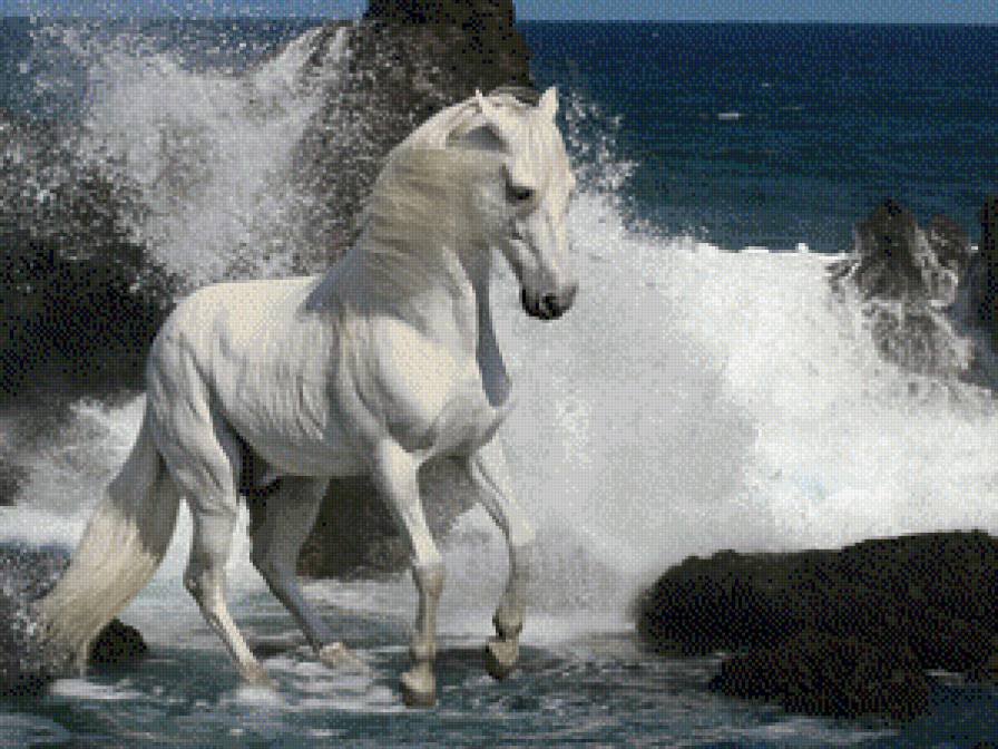 белогривый - животные, лошади, море - предпросмотр