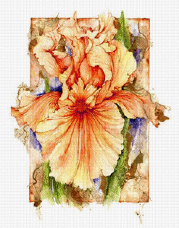 Ирисы.Акварель - живопись, джен харбон, цветы, акварель, букеты - предпросмотр