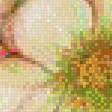 Предпросмотр схемы вышивки «Цветы.Акварель» (№599846)