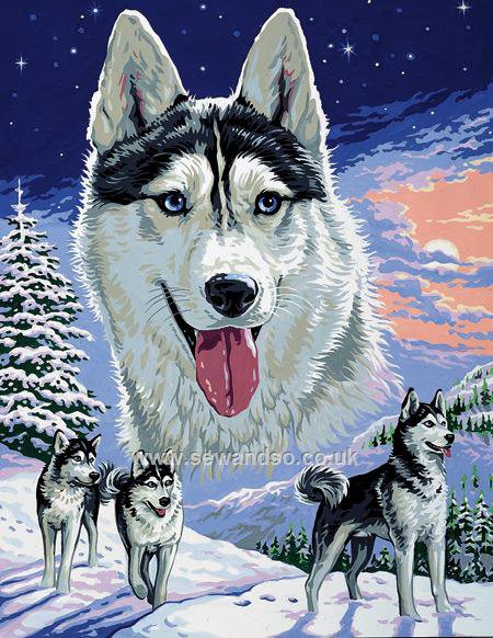 хаски - животные - оригинал