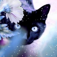 Схема вышивки «котик»