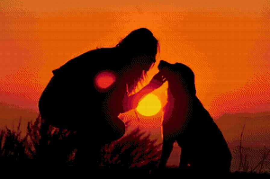 друг человека - предпросмотр