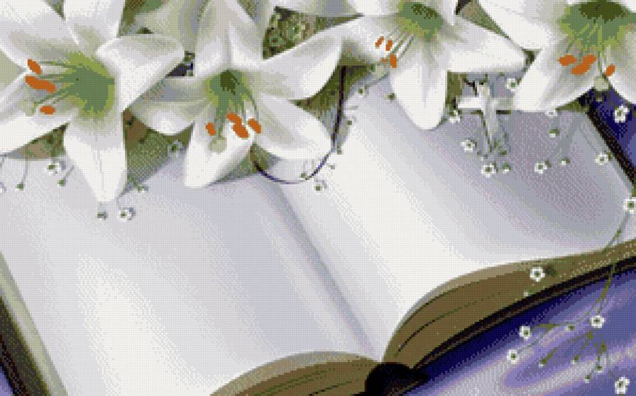 книга - предпросмотр