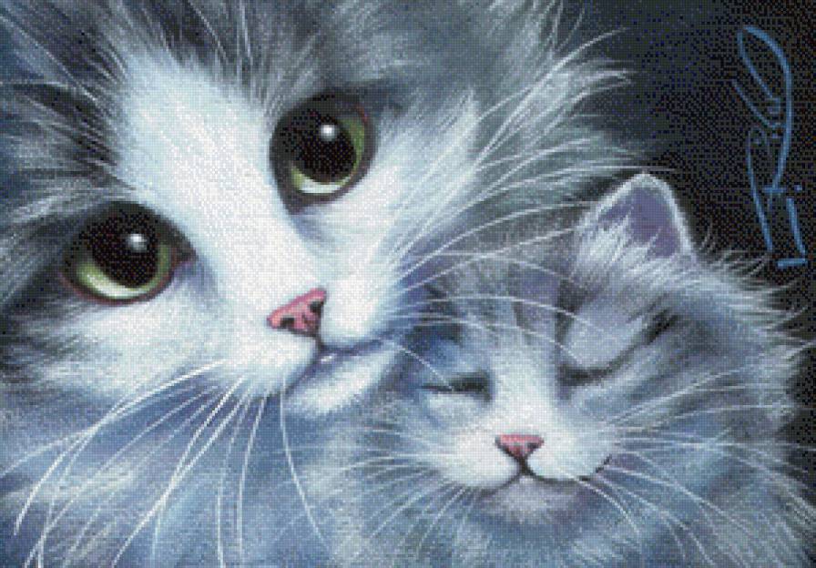 Котики - животные, коты - предпросмотр