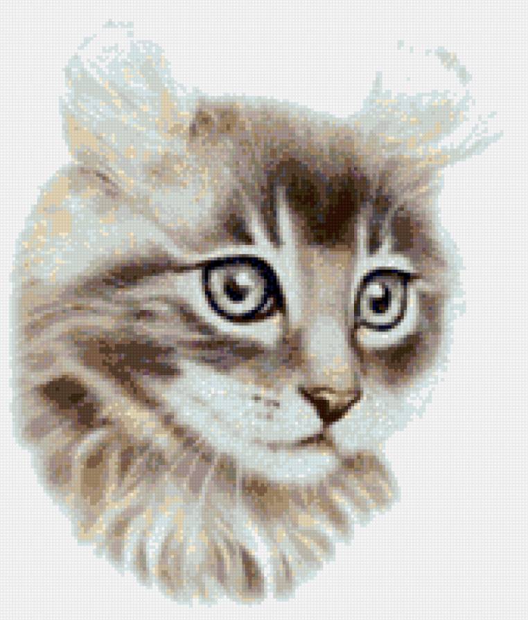 Кошка - животные, кошка - предпросмотр