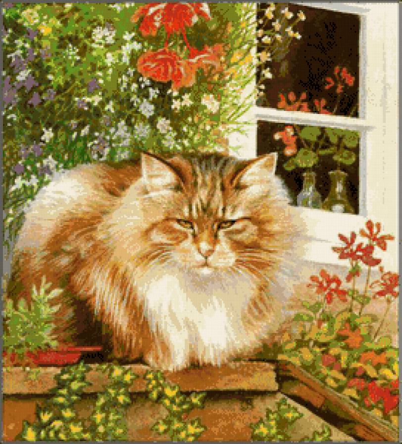 рыжий хулиган - котики - предпросмотр