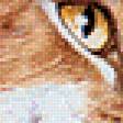 Предпросмотр схемы вышивки «Коты.» (№600253)