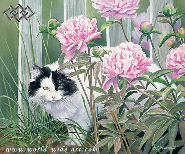 спрятался в пионах - котики, цветы - оригинал
