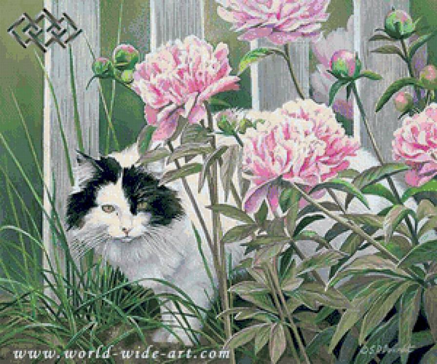 спрятался в пионах - котики, цветы - предпросмотр