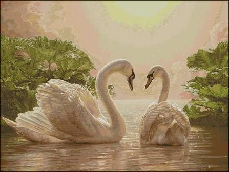лебеди - оригинал