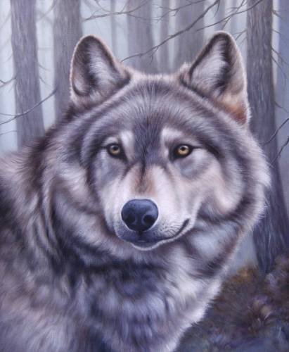 волк - картина - оригинал
