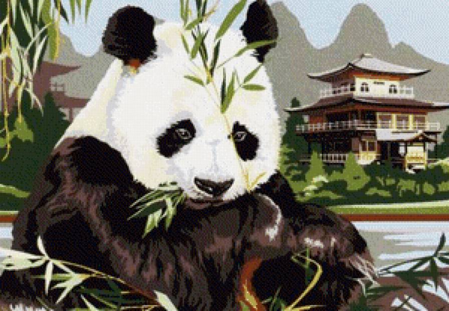 Панда - восток, китай, азия, животные, пагода, пейзаж, медведь - предпросмотр