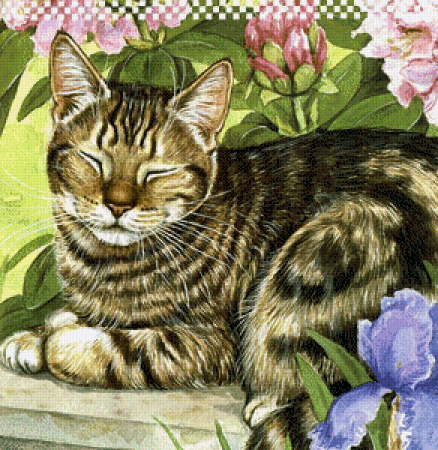 Коты. - дэбби кук, живопись, коты - предпросмотр