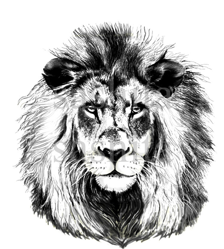 лев ,монохром - дикие кошки, животные. - оригинал