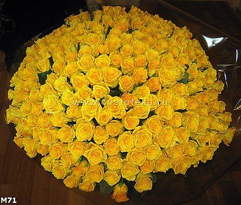 желтые розы - оригинал