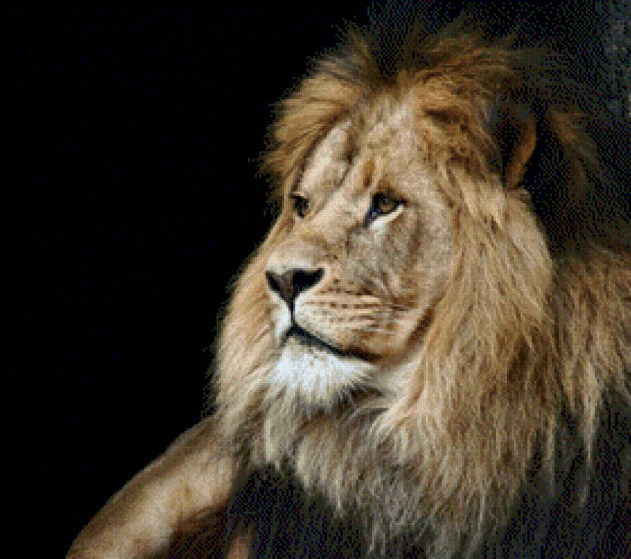 Он лев он очень опасен. Он лев он очень опасен. Сила (лев). Когда лев ранен он очень опасен. Лев в прыжке.