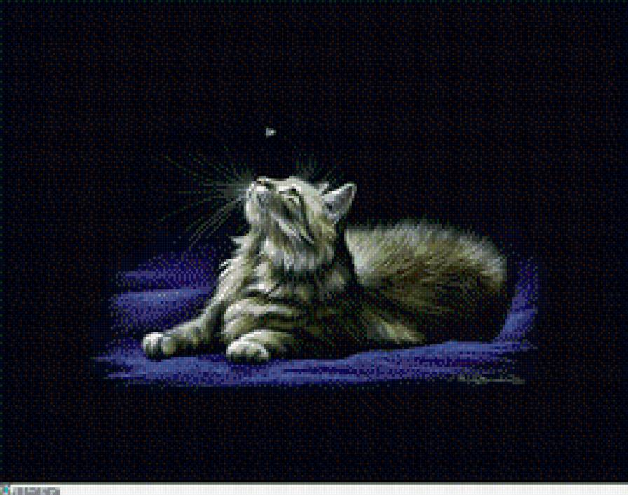 Кошка - кошка - предпросмотр