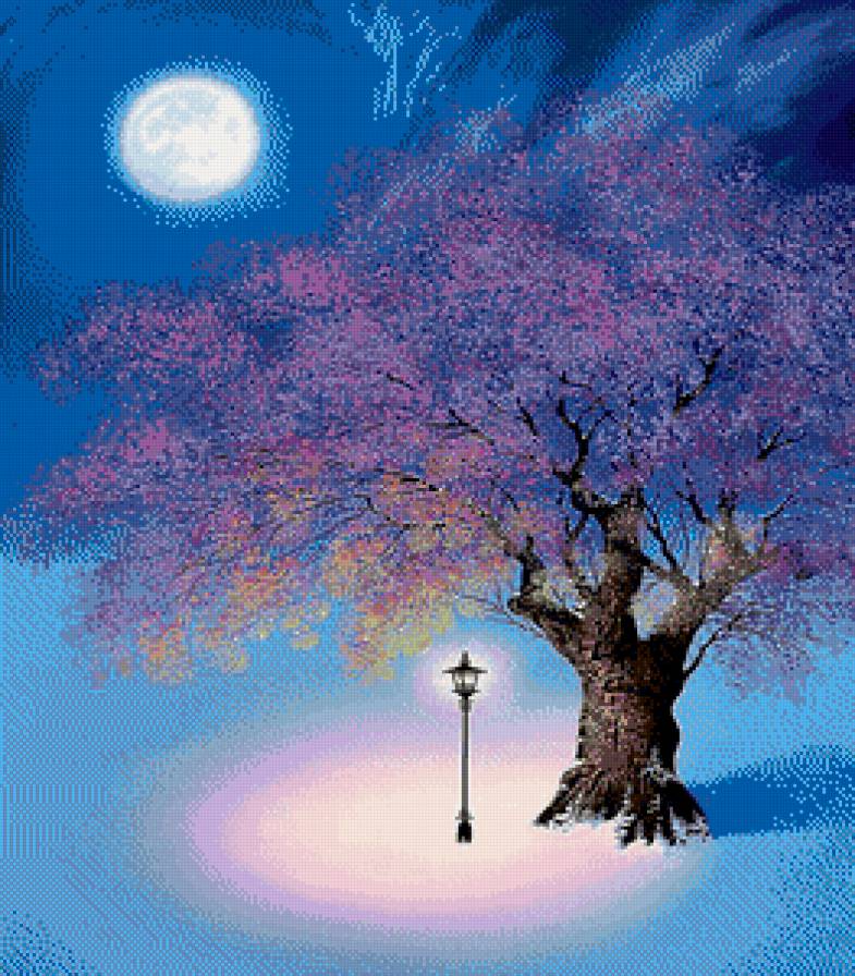 Ночная сакура - ночь, луна, сакура, фонарь - предпросмотр