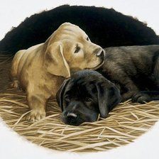 Схема вышивки «Собачки»