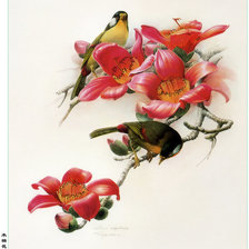 Схема вышивки «Цветущая ветвь с птицами»