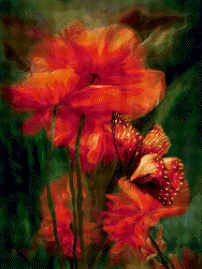 Carol Cavalaris - цветы, природа, волшебство - предпросмотр