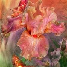 Схема вышивки «Carol Cavalaris»