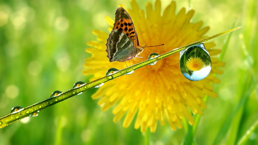 од - оригинал