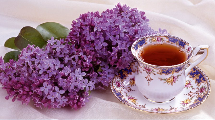 завтрак - кухня, сирень, натюрморт, цветы - оригинал