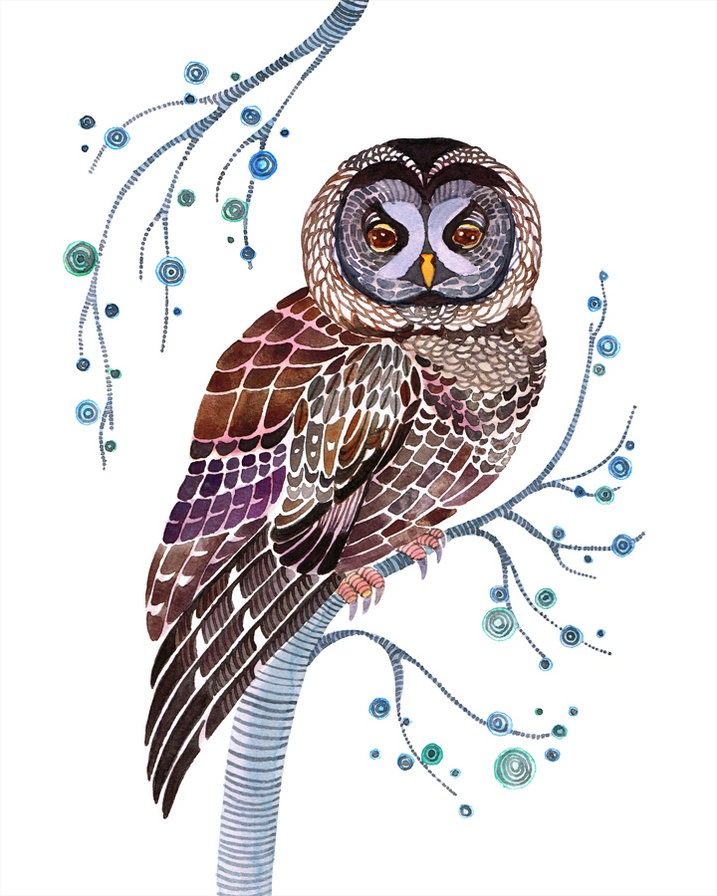 Совушка - сова, птицы - оригинал