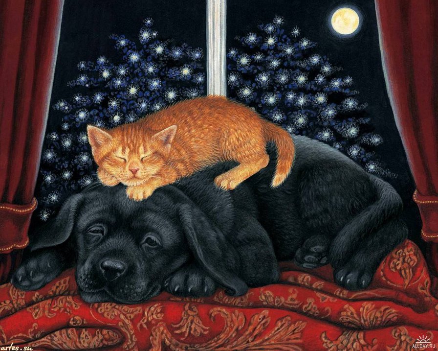 Звездная ночь - коты, животные, собаки - оригинал