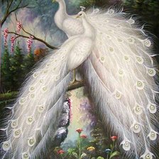 Схема вышивки «белые красавцы»