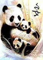 иероглиф спокойствие - иероглиф, панды, спокойствие - оригинал