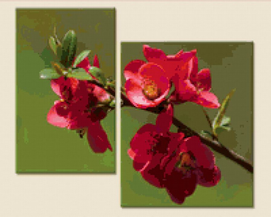 цвет - цветы, цвет, триптих - предпросмотр