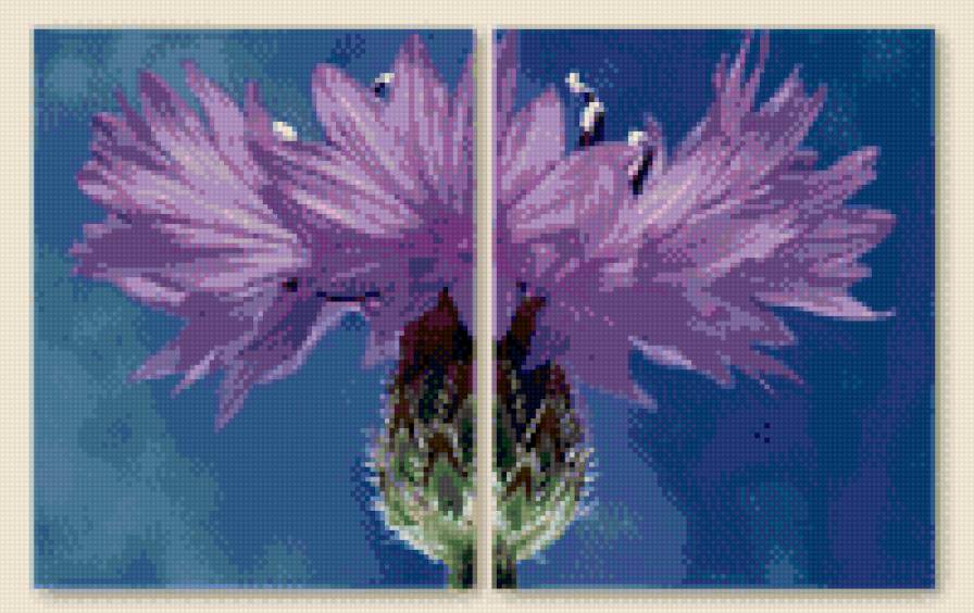 цветок - триптих, цветок - предпросмотр