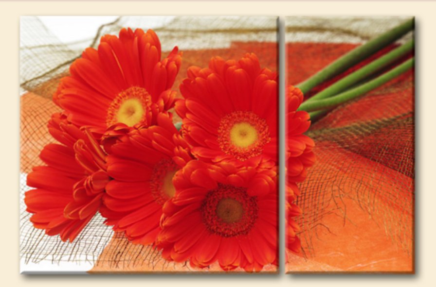 герберы - цветы, букет, триптих - оригинал