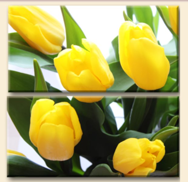 желтые тюльпаны - букет, триптих, тюльпаны, цветы - оригинал