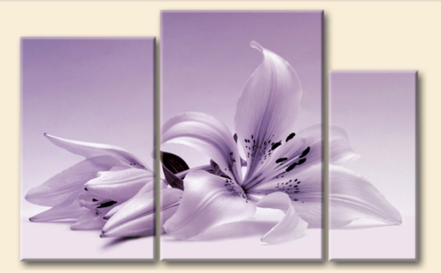 лилия - черно белое, цветы, триптих - оригинал