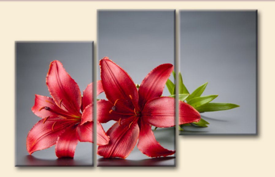 лилия красная - триптих, цветы - оригинал