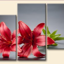 Схема вышивки «лилия красная»